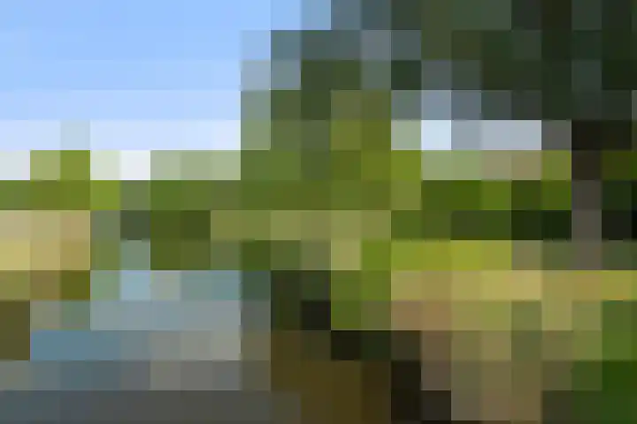 Faktorij 110 Alkmaar thumbnail 4