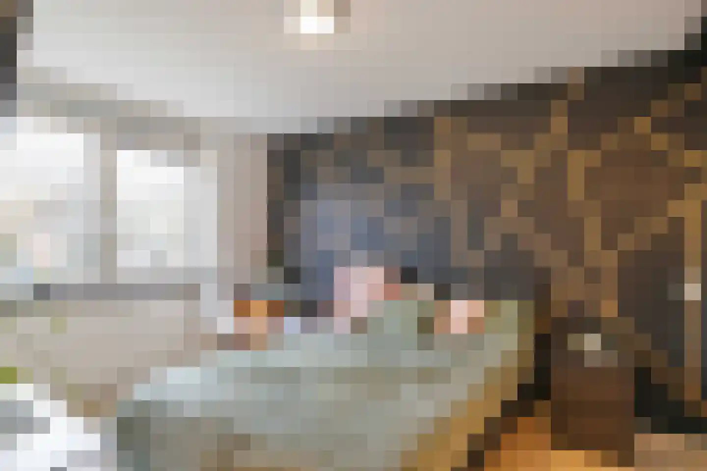 Faktorij 14 Alkmaar thumbnail 15
