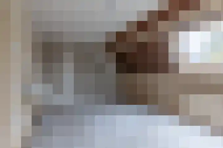 Faktorij 24 Alkmaar thumbnail 12