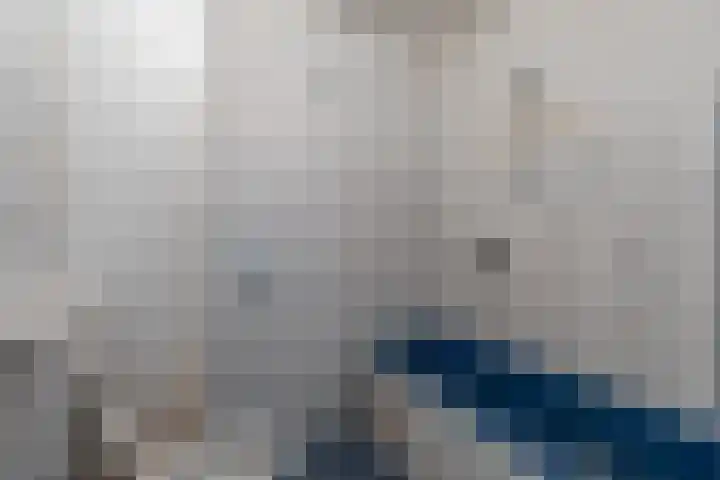 Faktorij 24 Alkmaar thumbnail 16