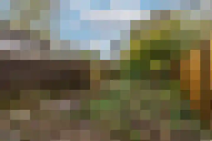Faktorij 24 Alkmaar thumbnail 32