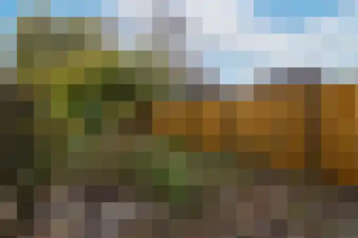 Faktorij 24 Alkmaar thumbnail 33