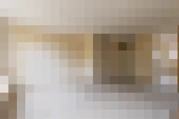 Faktorij 24 Alkmaar thumbnail 5