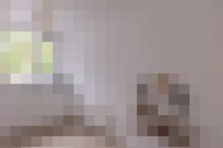 Faktorij 35 Alkmaar thumbnail 10
