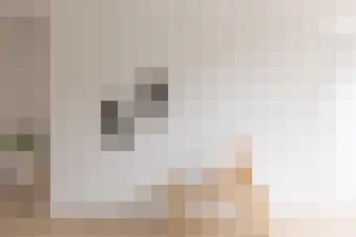 Faktorij 35 Alkmaar thumbnail 13