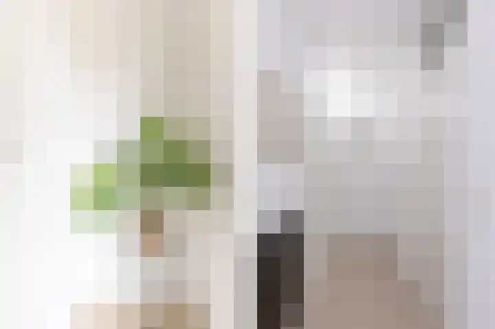 Faktorij 35 Alkmaar thumbnail 15
