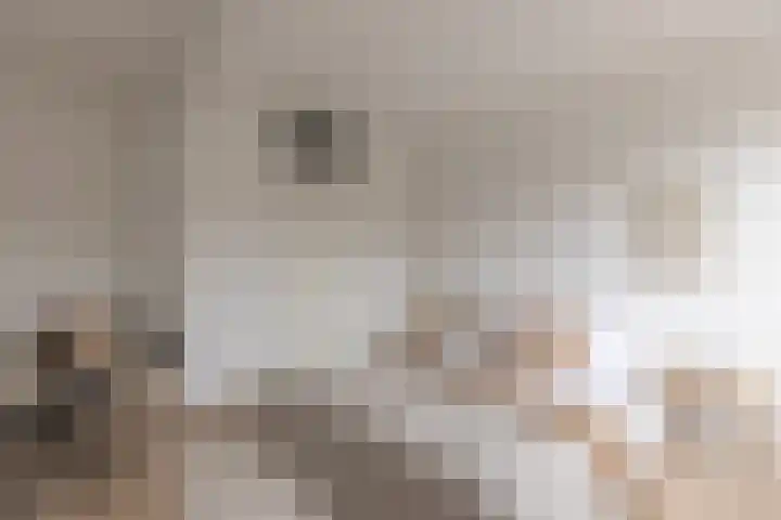 Faktorij 35 Alkmaar thumbnail 17
