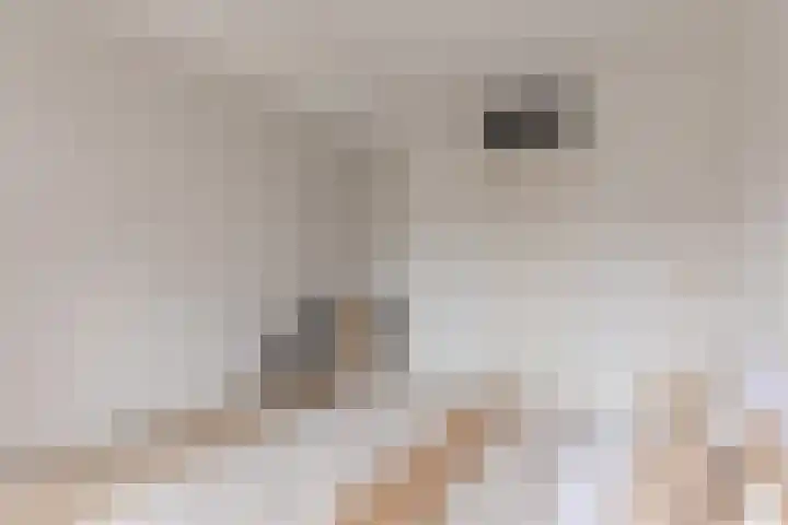 Faktorij 35 Alkmaar thumbnail 20