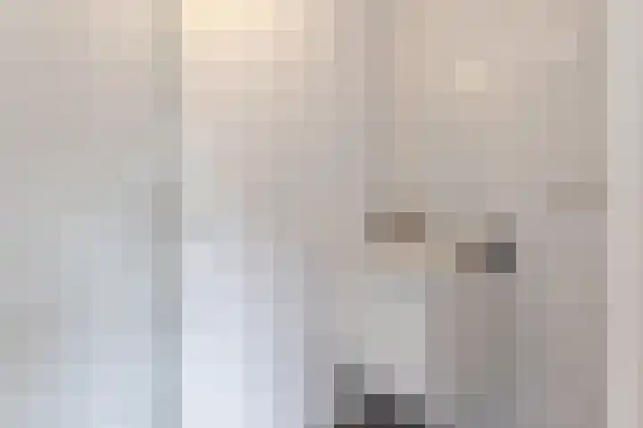 Faktorij 35 Alkmaar thumbnail 23