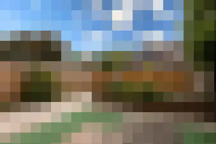 Faktorij 35 Alkmaar thumbnail 25
