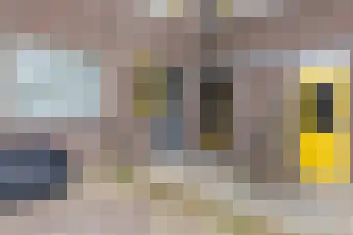 Faktorij 35 Alkmaar thumbnail 27