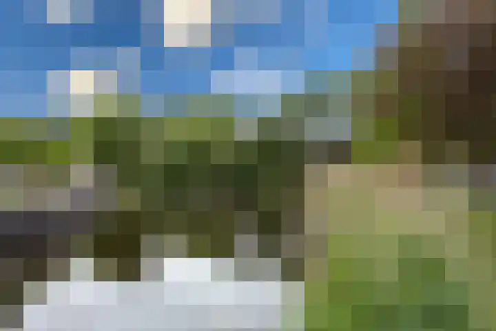 Faktorij 35 Alkmaar thumbnail 29