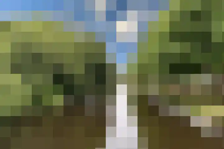 Faktorij 35 Alkmaar thumbnail 30