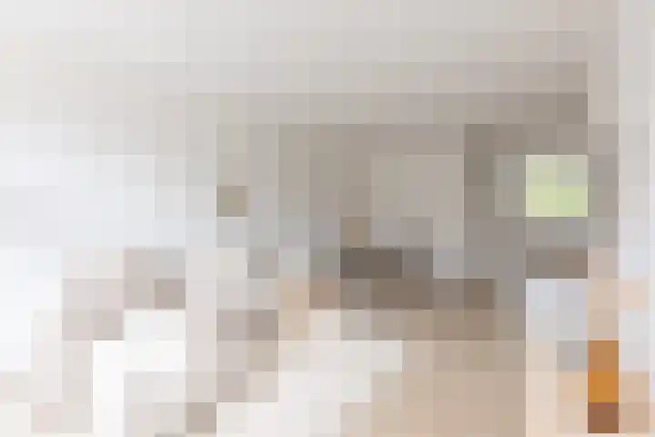 Faktorij 35 Alkmaar thumbnail 4