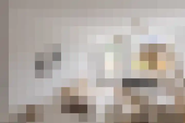 Faktorij 35 Alkmaar thumbnail 7