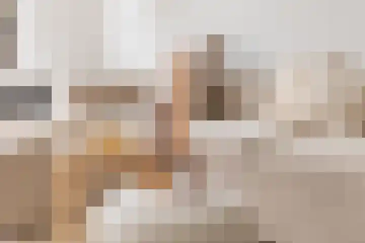 Faktorij 35 Alkmaar thumbnail 8