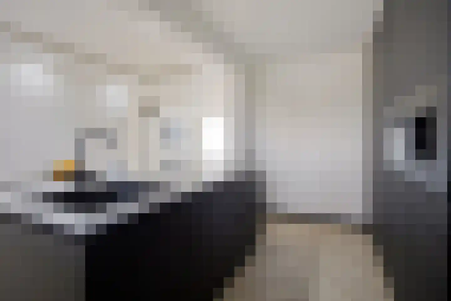Faktorij 45 Alkmaar thumbnail 12