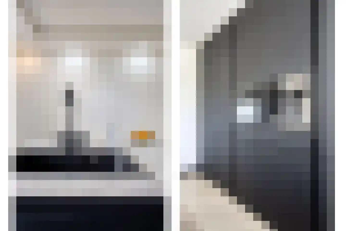 Faktorij 45 Alkmaar thumbnail 13
