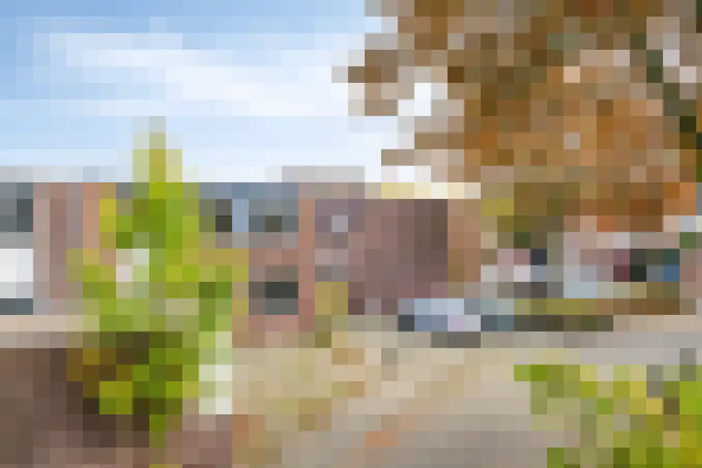 Faktorij 45 Alkmaar thumbnail 24
