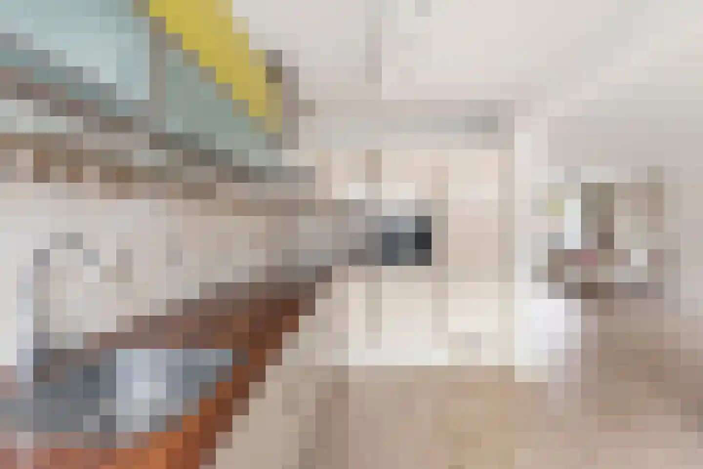 Faktorij 51 Alkmaar thumbnail 10