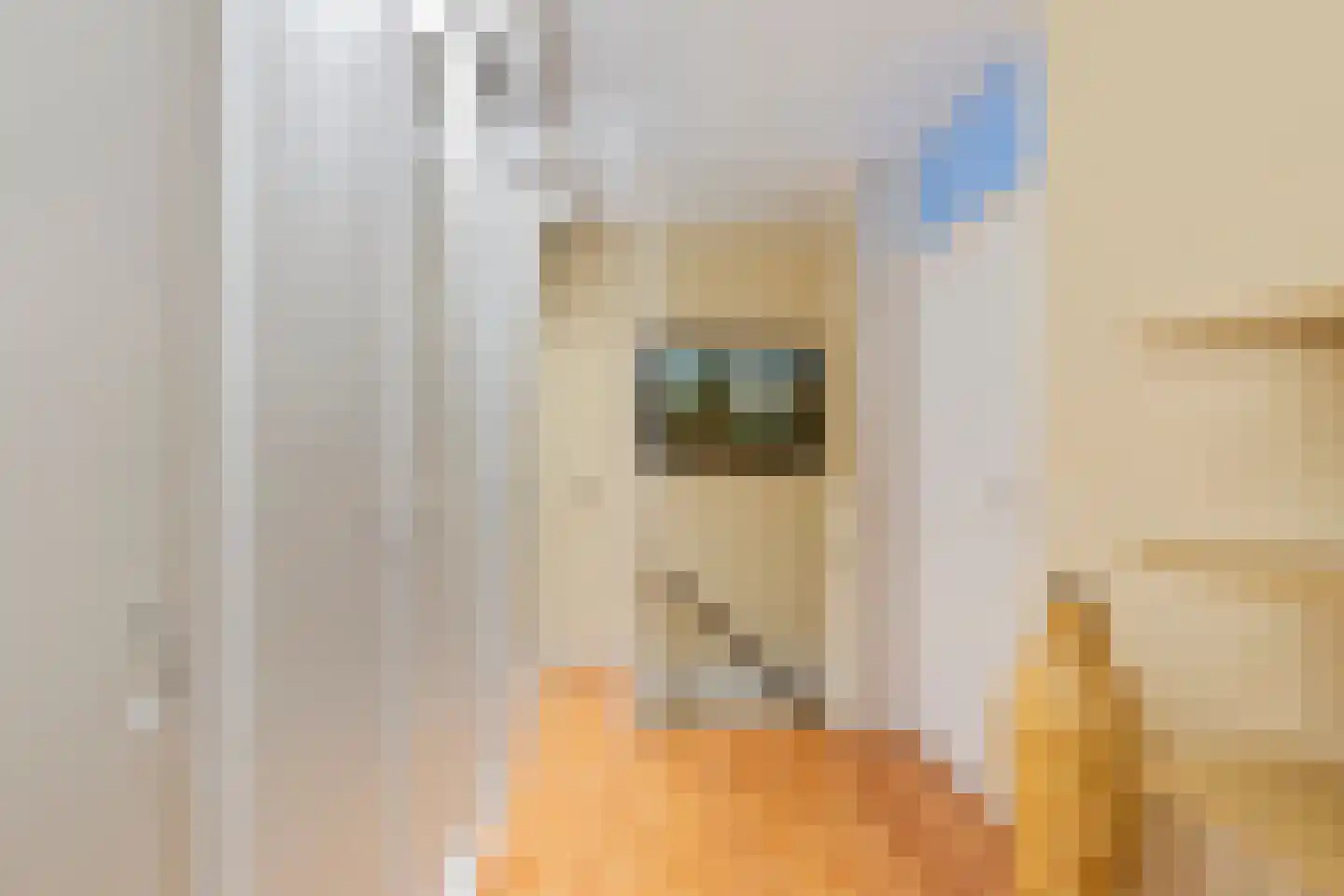 Faktorij 51 Alkmaar thumbnail 23