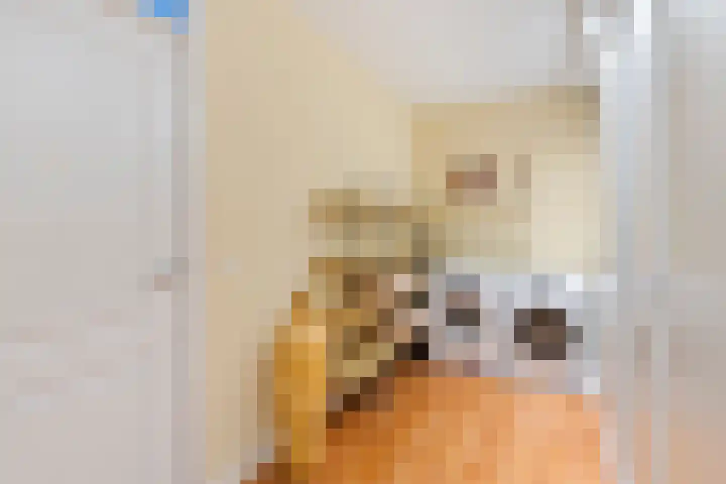 Faktorij 51 Alkmaar thumbnail 24