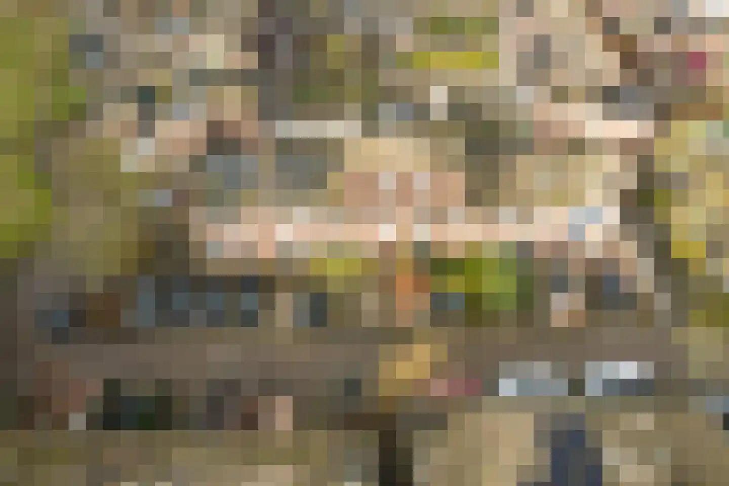 Faktorij 51 Alkmaar thumbnail 30