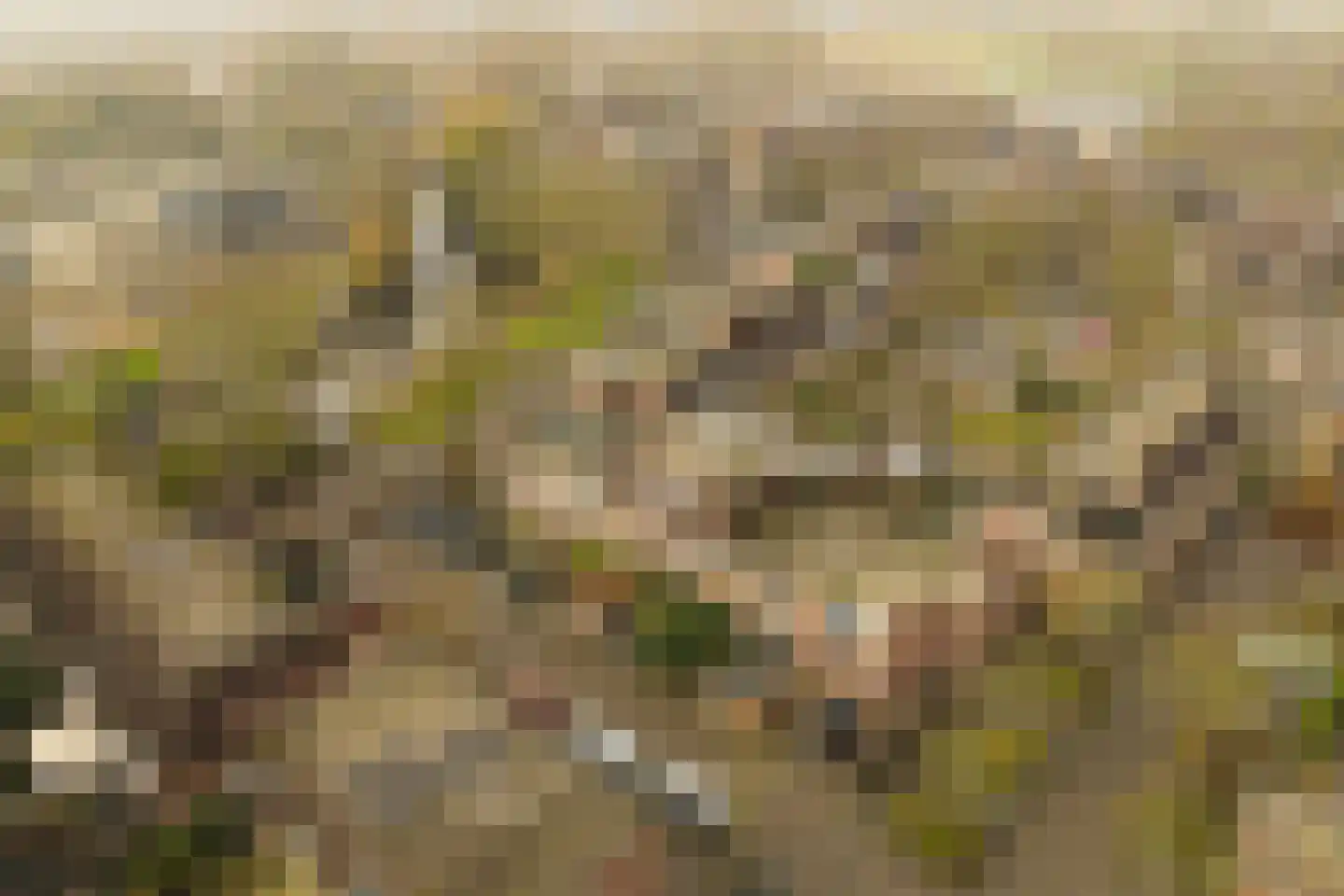 Faktorij 51 Alkmaar thumbnail 33