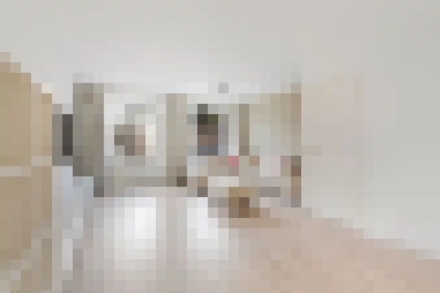 Faktorij 51 Alkmaar thumbnail 4
