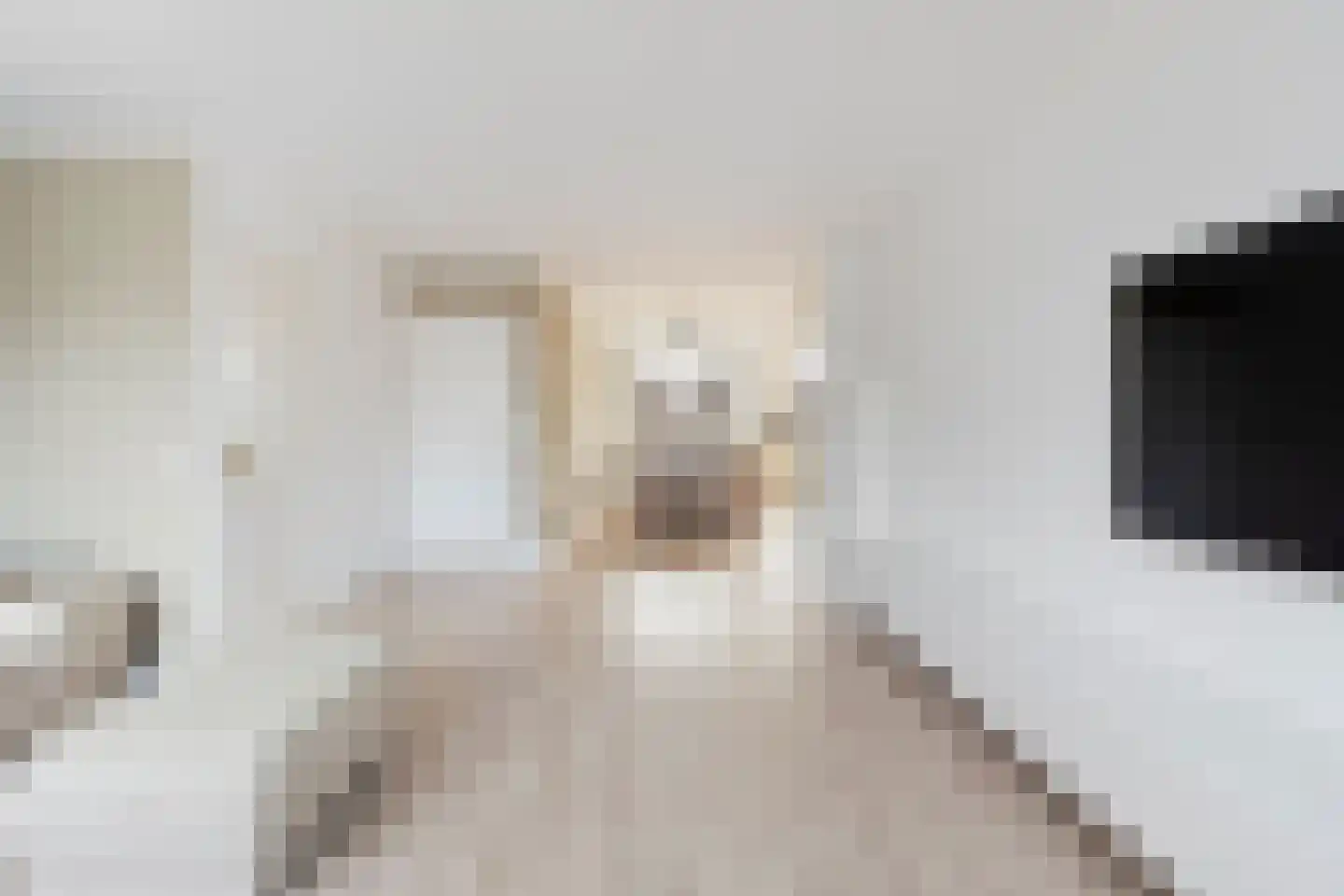 Faktorij 51 Alkmaar thumbnail 5