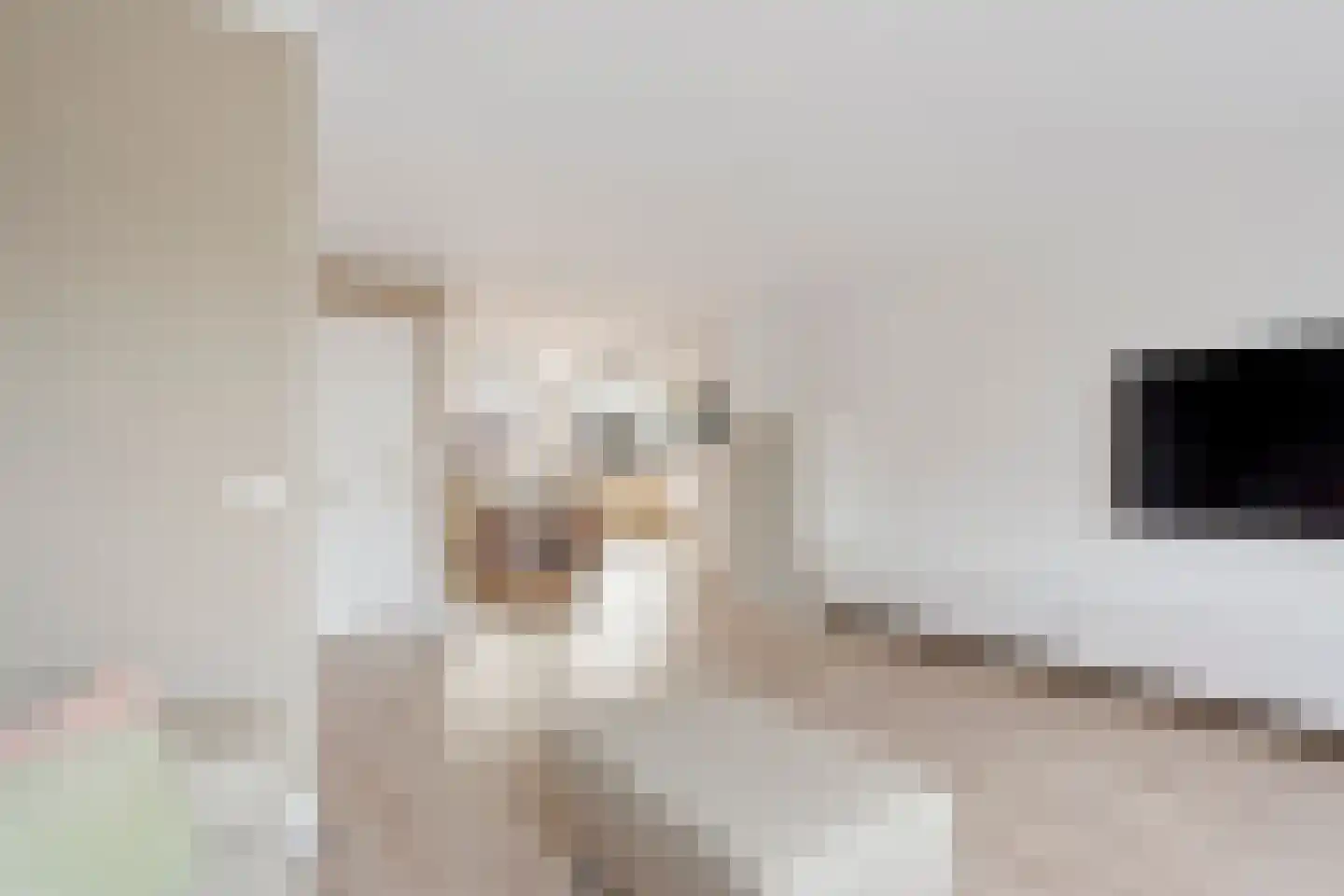 Faktorij 51 Alkmaar thumbnail 6