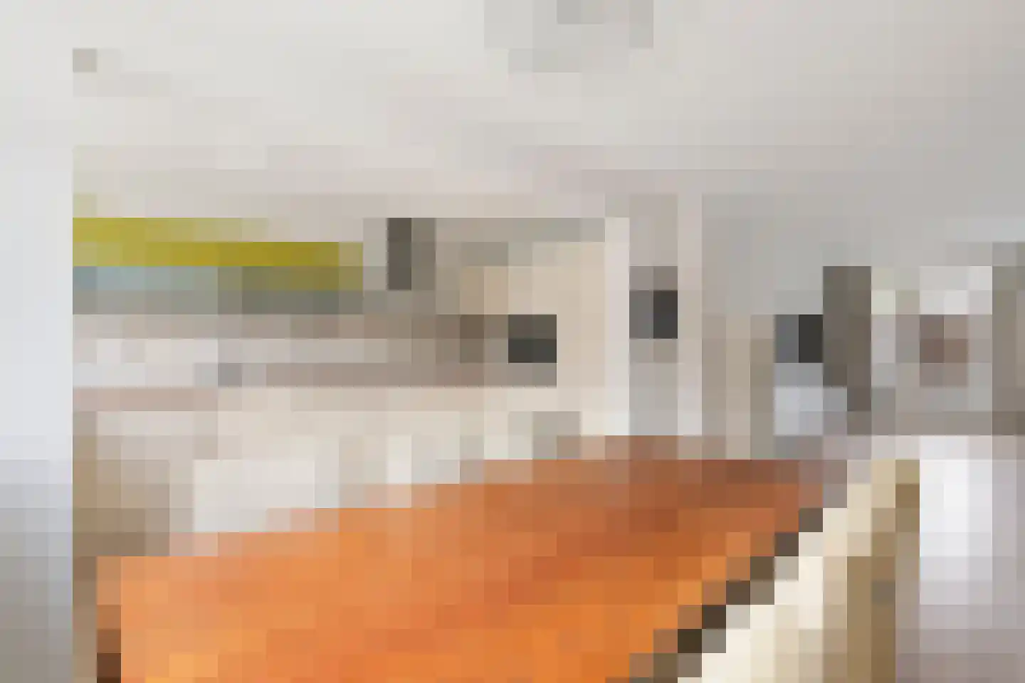 Faktorij 51 Alkmaar thumbnail 8