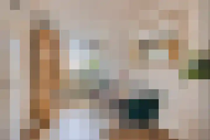 Faktorij 65 Alkmaar thumbnail 10