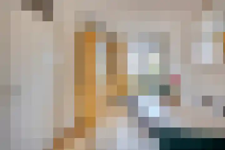 Faktorij 65 Alkmaar thumbnail 11