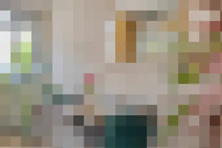 Faktorij 65 Alkmaar thumbnail 12