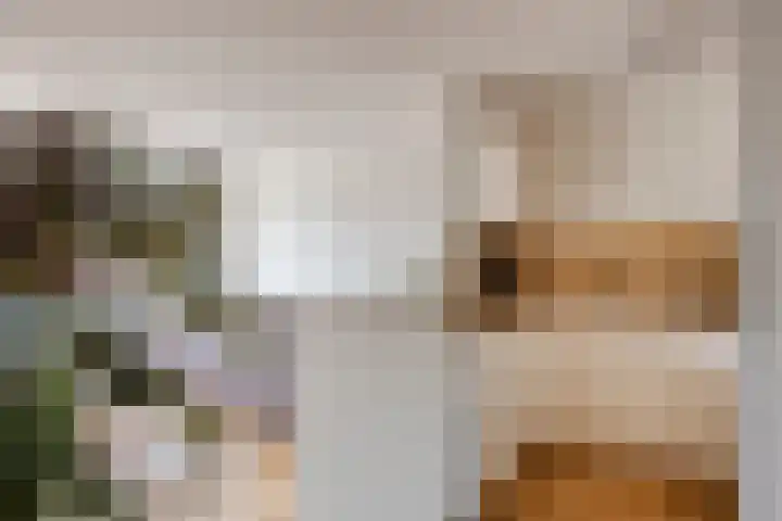 Faktorij 65 Alkmaar thumbnail 14