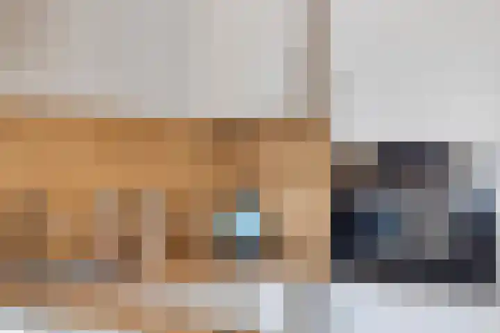 Faktorij 65 Alkmaar thumbnail 16