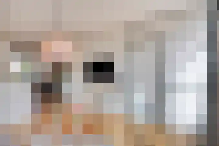 Faktorij 65 Alkmaar thumbnail 18