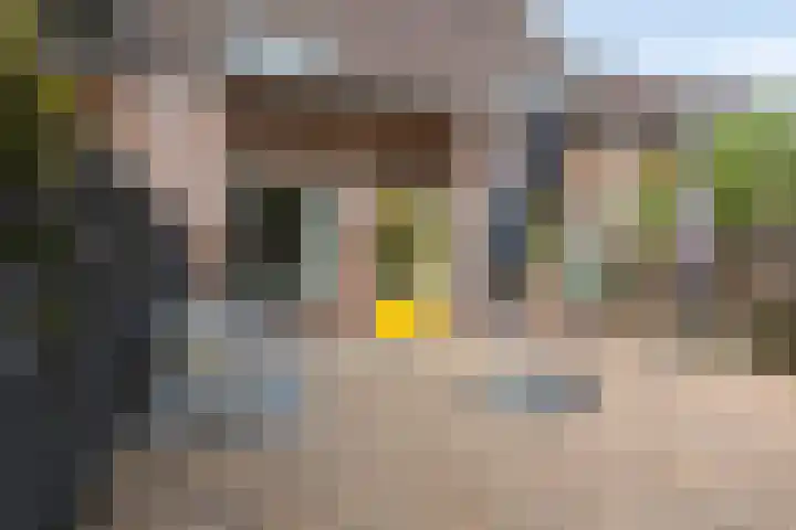 Faktorij 65 Alkmaar thumbnail 27