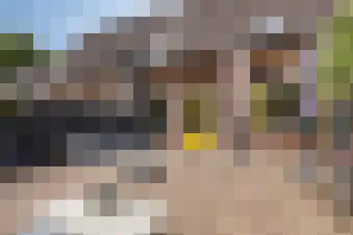 Faktorij 65 Alkmaar thumbnail 28