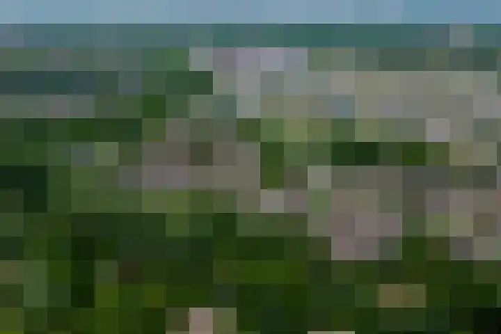 Faktorij 65 Alkmaar thumbnail 30