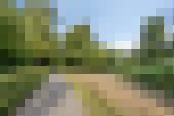 Faktorij 65 Alkmaar thumbnail 33