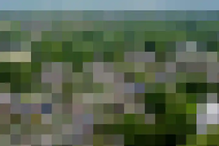 Faktorij 65 Alkmaar thumbnail 5
