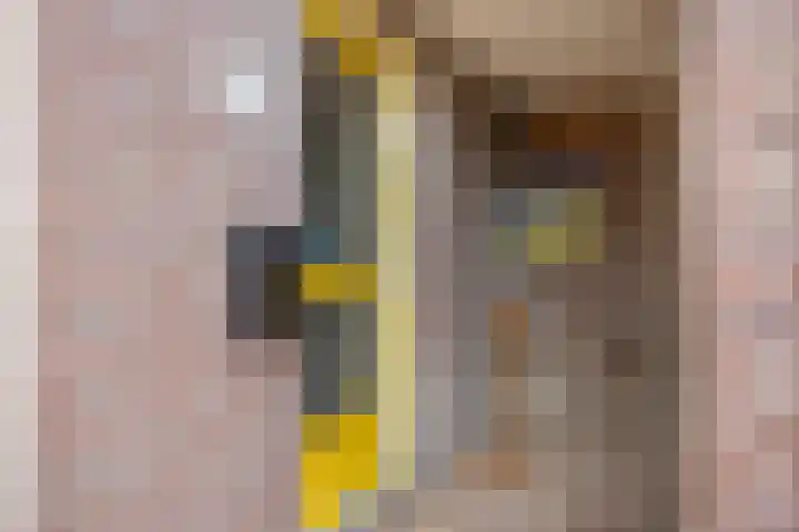 Faktorij 65 Alkmaar thumbnail 7