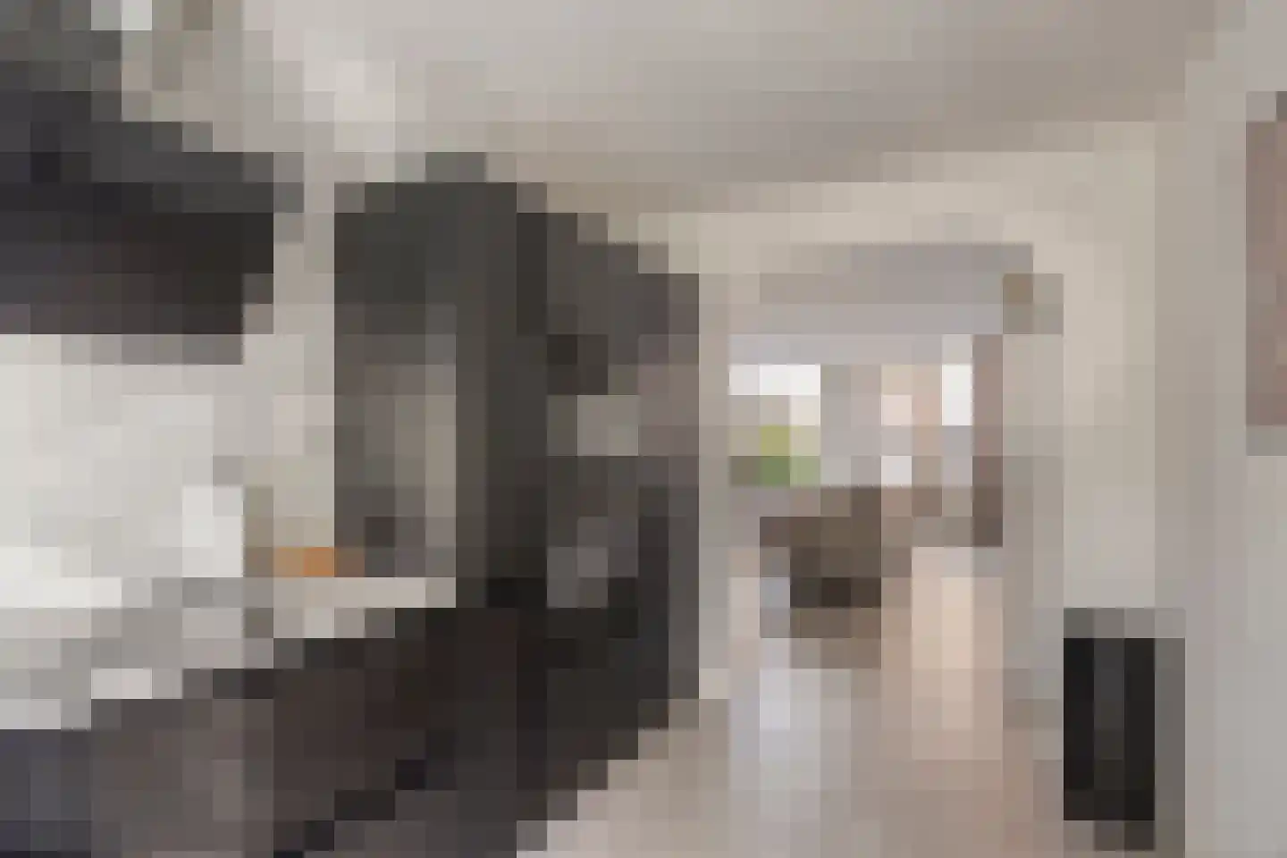 Faktorij 74 Alkmaar thumbnail 11