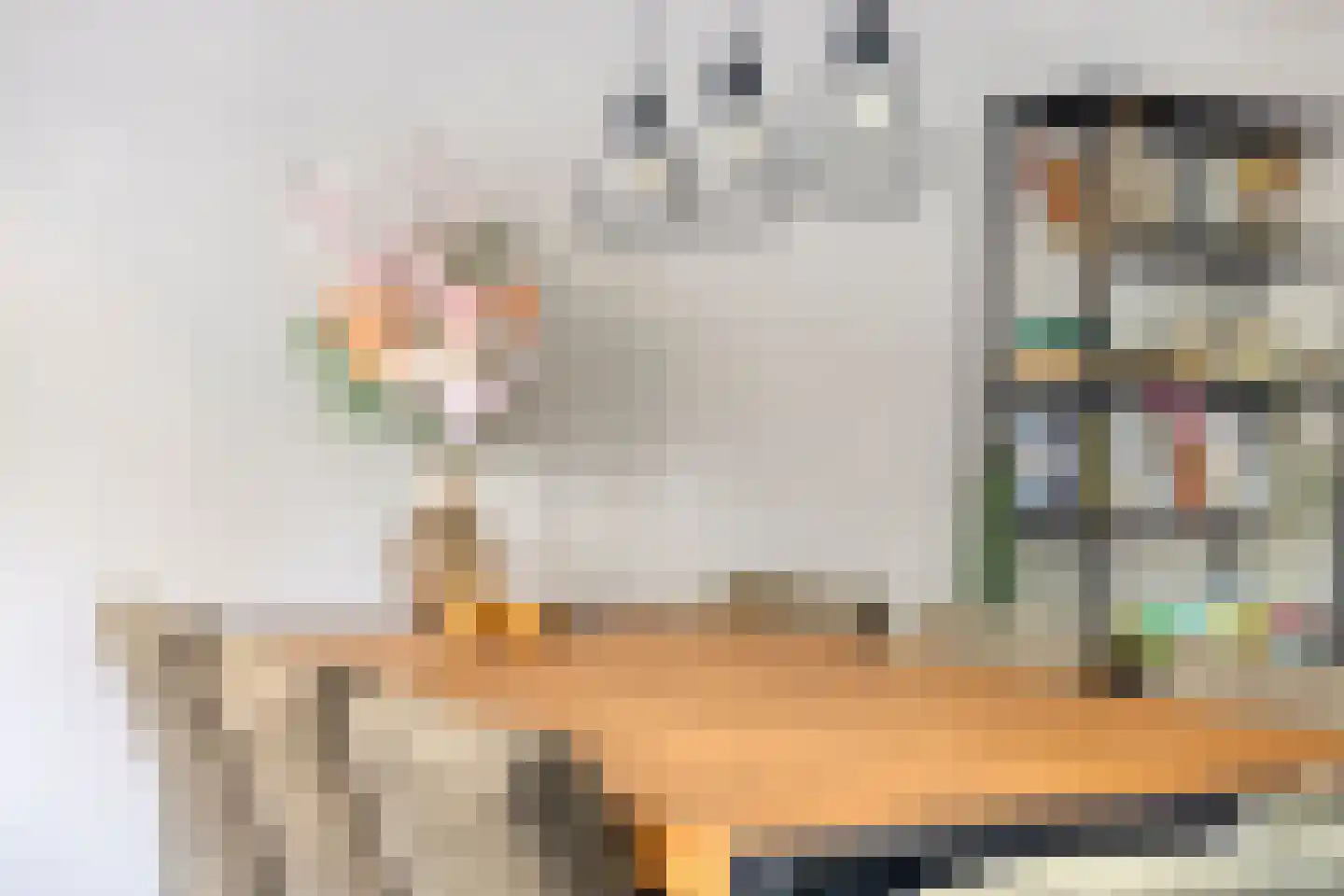 Faktorij 74 Alkmaar thumbnail 13