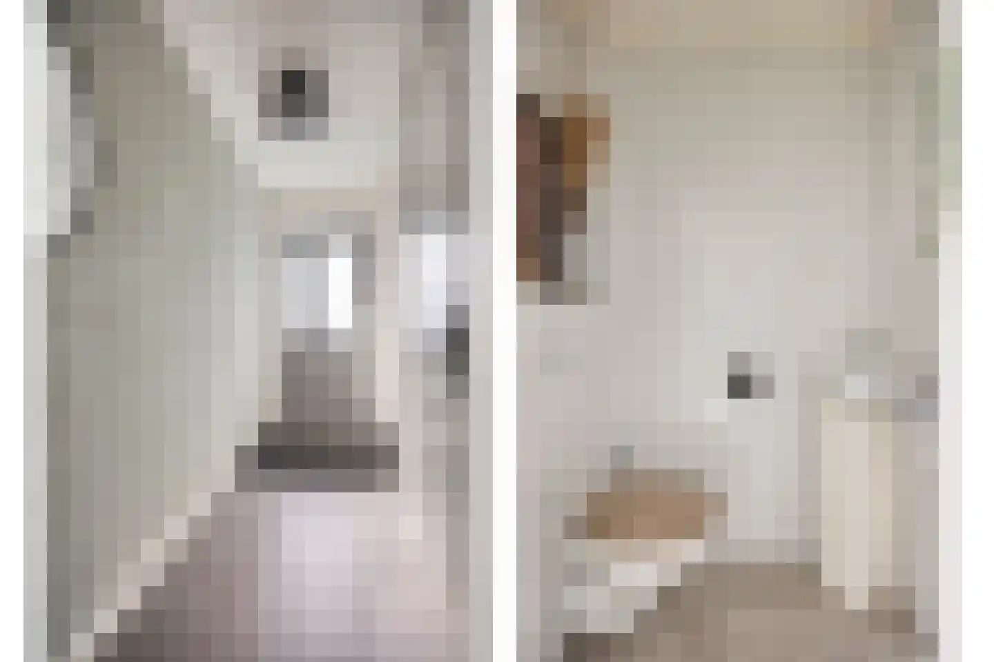 Faktorij 74 Alkmaar thumbnail 5