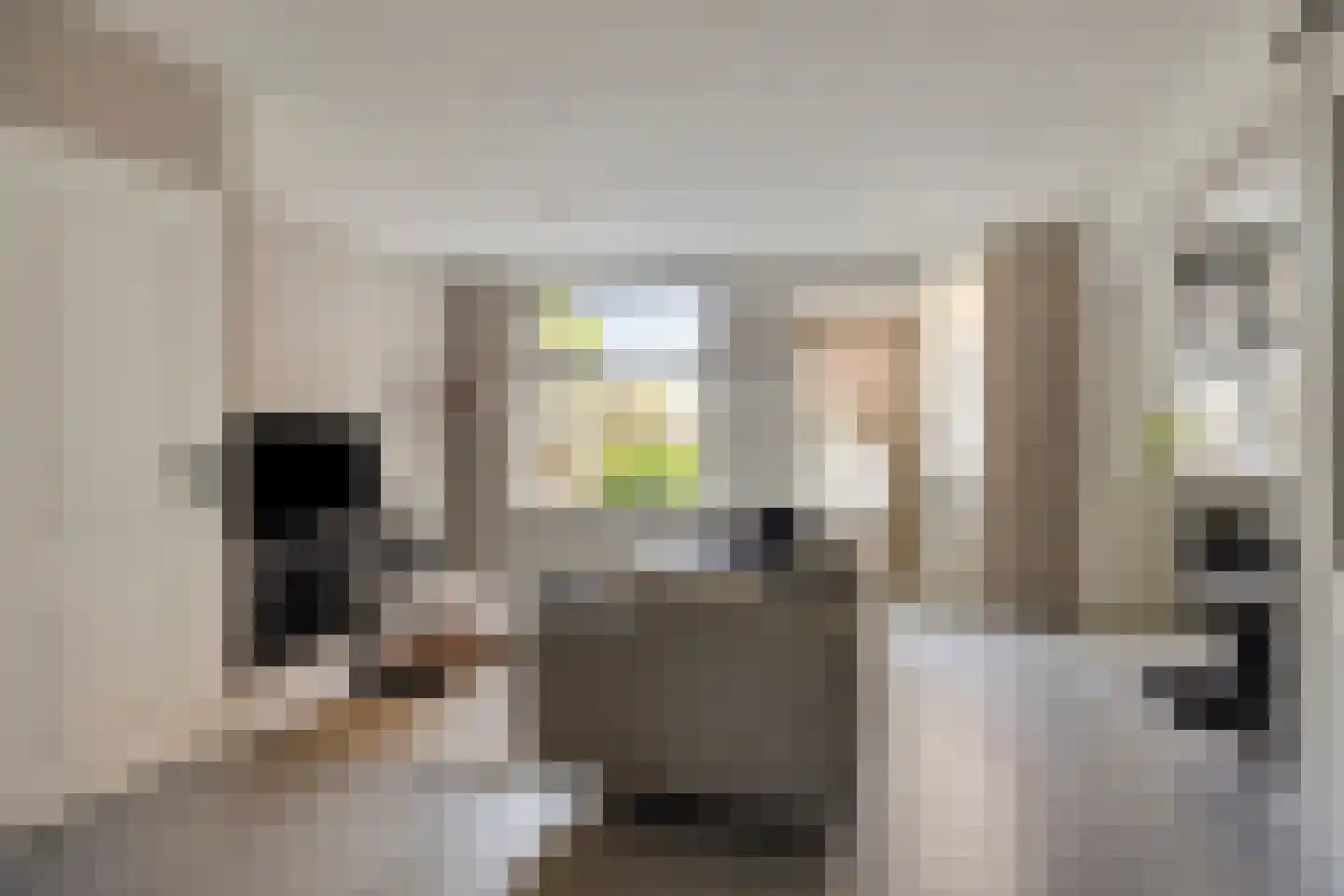 Faktorij 74 Alkmaar thumbnail 6
