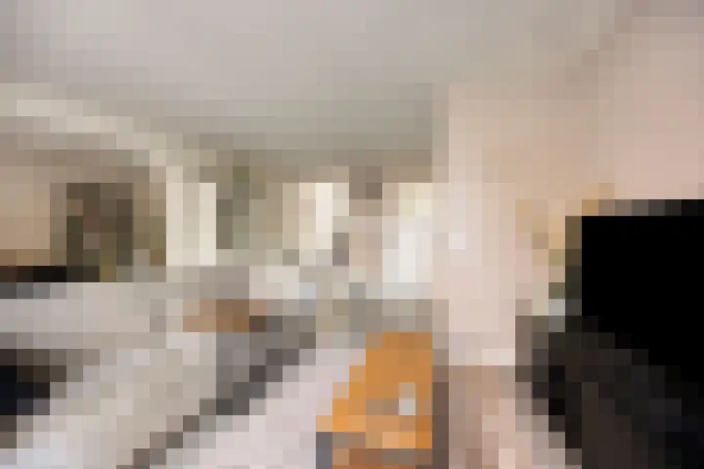 Faktorij 74 Alkmaar thumbnail 7