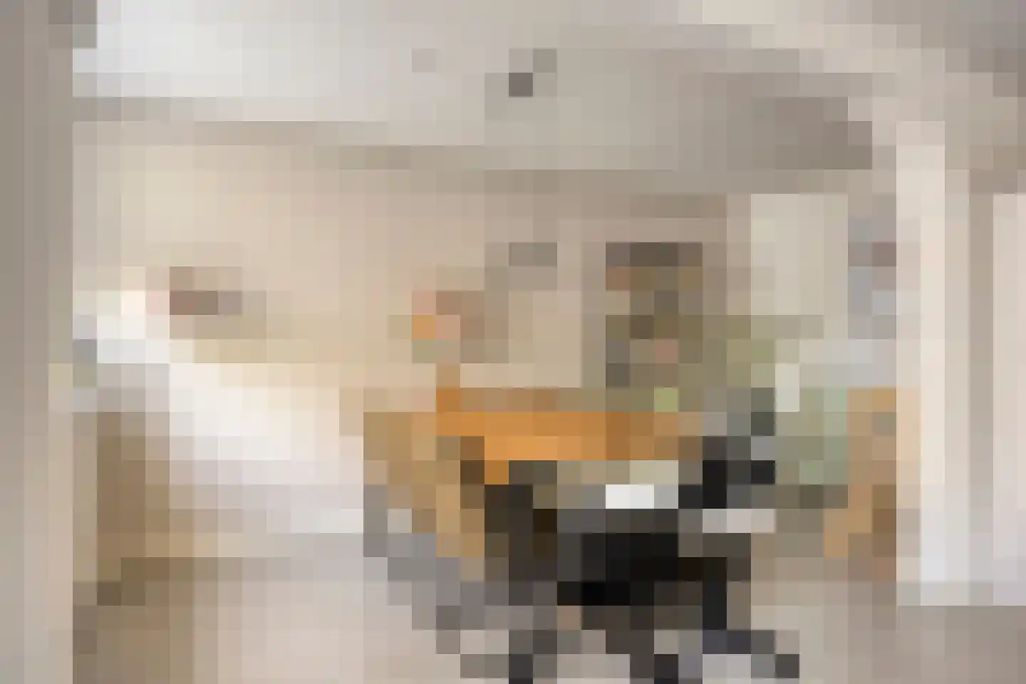 Faktorij 74 Alkmaar thumbnail 8